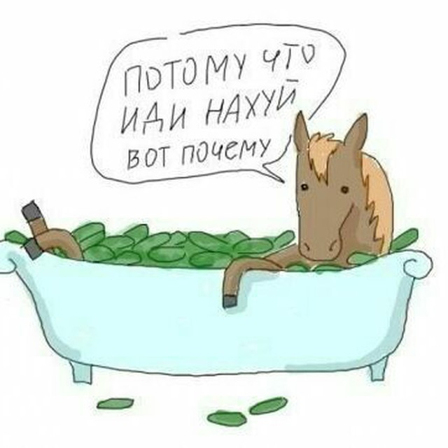     - -  ?  , -, , ,  , ,  , , ,   