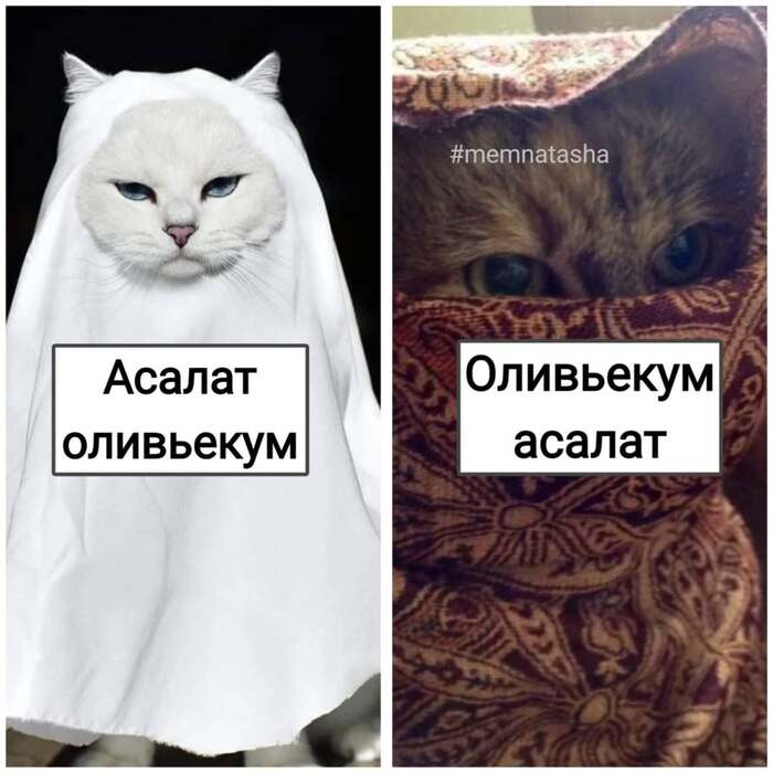   , , 