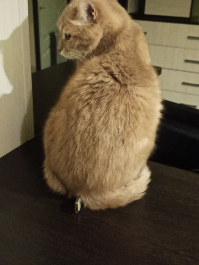    ... , , , , 