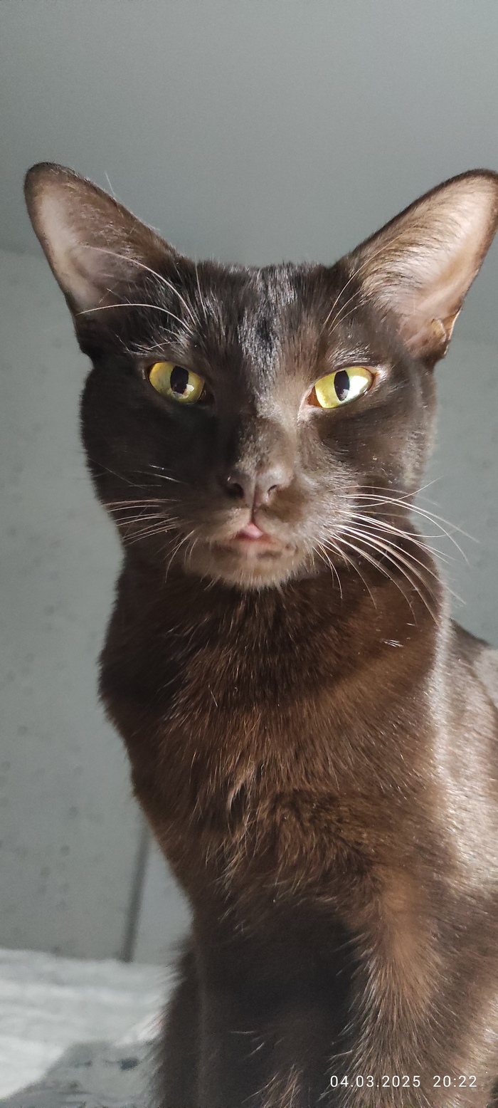 ��������� ����!