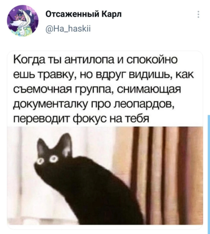 ,...
