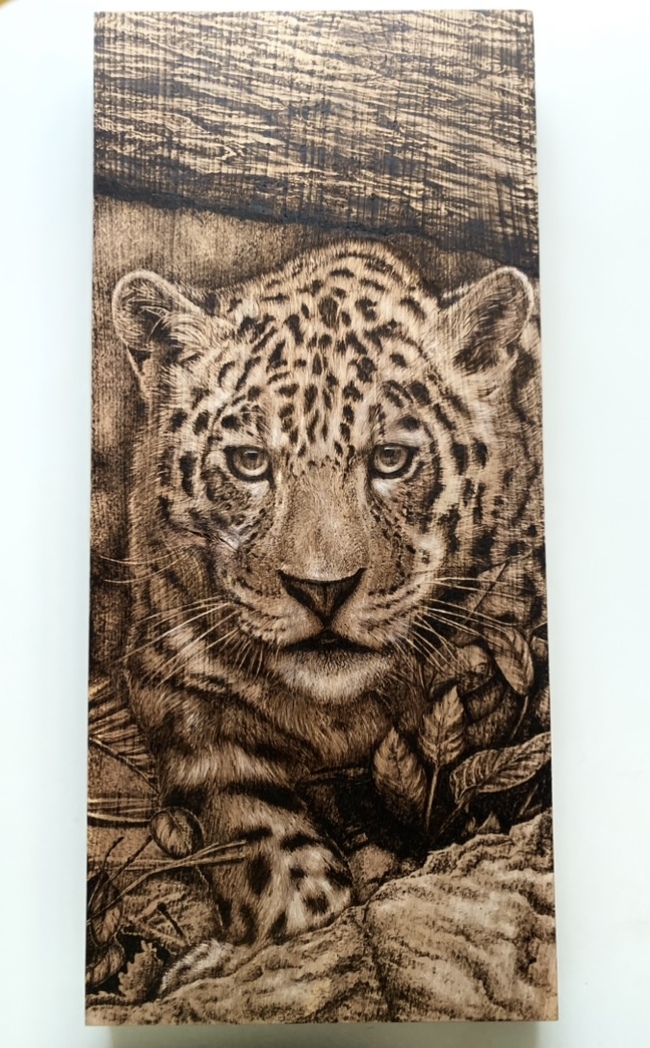 ��� ������� �������, ������� 66/30/5 ��