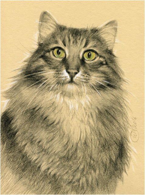 Её встревоженное котейшество