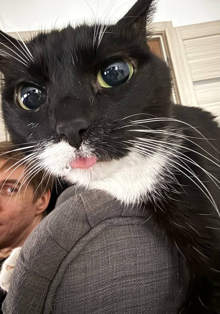 :    , , ,  ,  , 