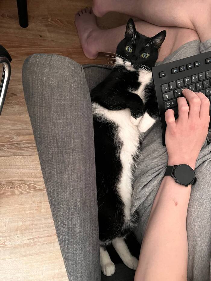 :    , , ,  ,  , 