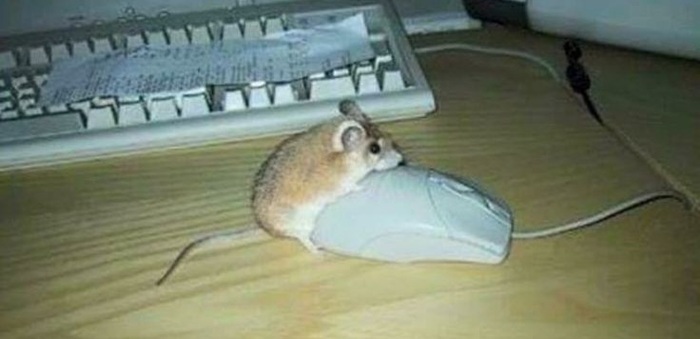  ! :            !  ,  ,  , , , , , , , 