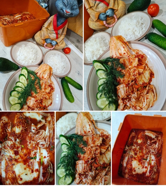  ,  ,  , ,  , , , , , , , ,  , 