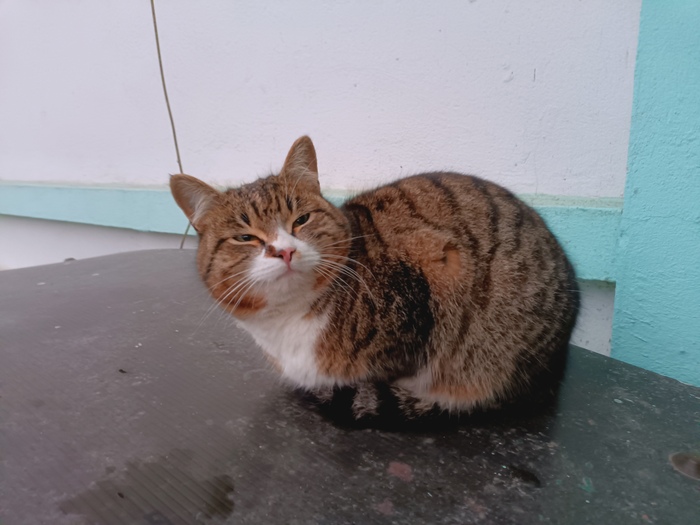 ���� � ����� �����