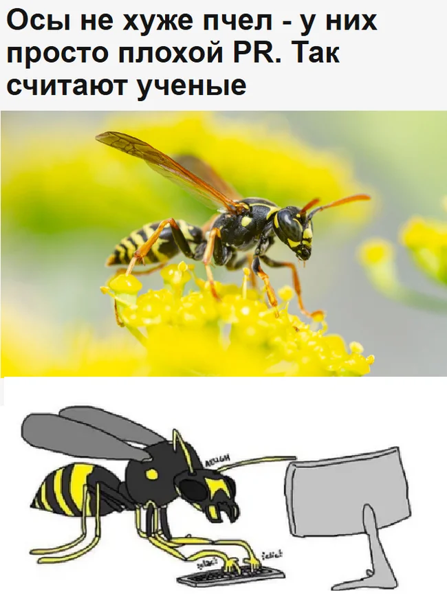 Wasp lives matter - Picture with text, Memes, Images, Humor, Wasp, Scientists