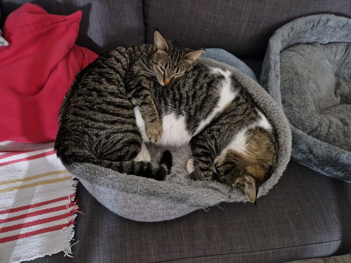 ��� ���-�� �������� �����...