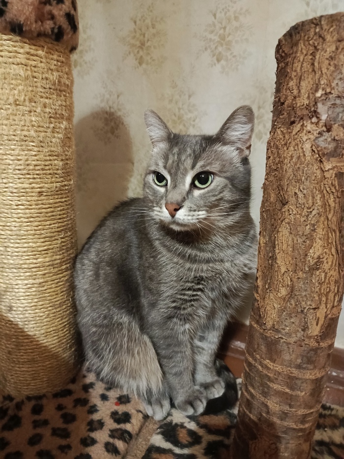 Помягче или пожёстче