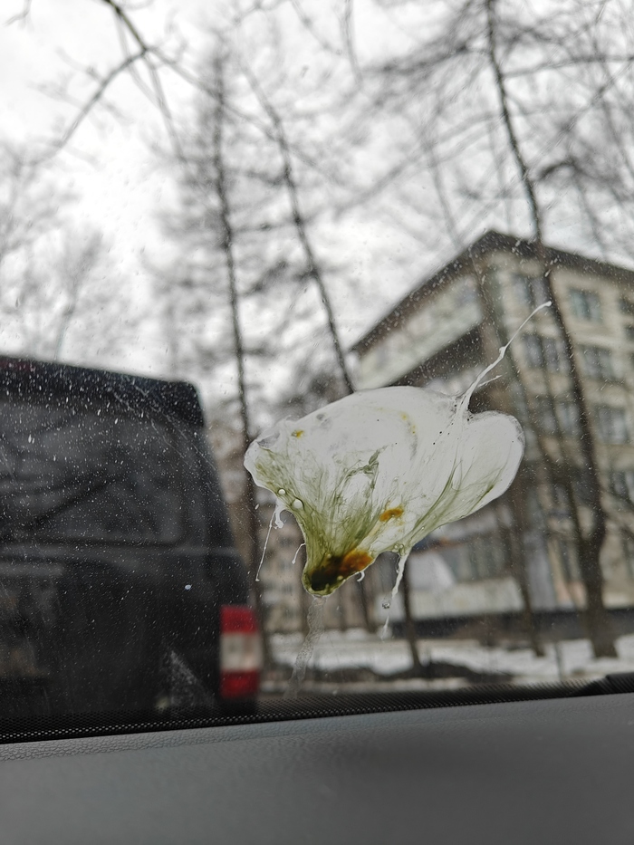 ����� ������