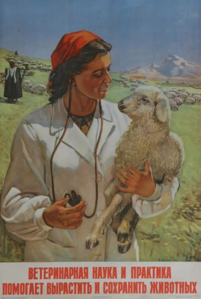 Только с одной козой возникли проблемы, той, которая тройней окотилась.