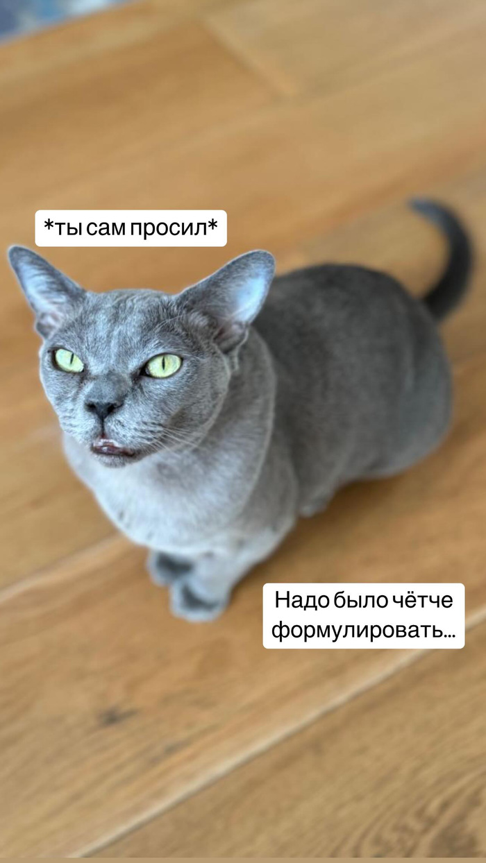   ,  , , , , , ,  ,  ,  , , ,  , , ,  , ,  , 