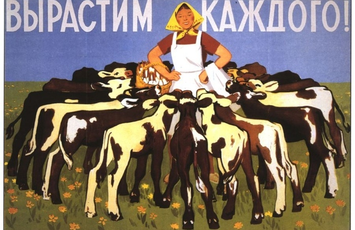 Теперь нужно до пастбищного сезона поднять молодняк.