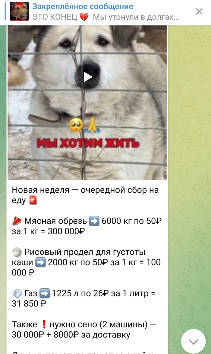        ""  ,  