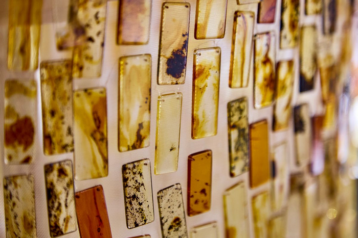 Платье из янтаря возрастом 50 млн лет: чудо России Ювелирные изделия, Мода, Новости, Длиннопост