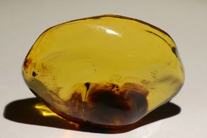 Платье из янтаря возрастом 50 млн лет: чудо России Ювелирные изделия, Мода, Новости, Длиннопост