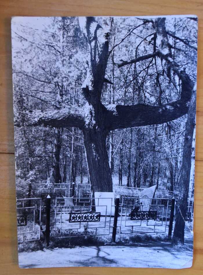 -    30    , -   . -          .      .