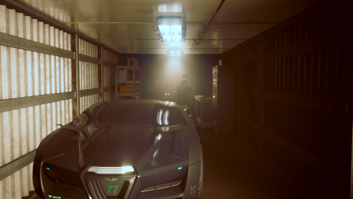     Cyberpunk 2077,  (Cyberpunk 2077), 