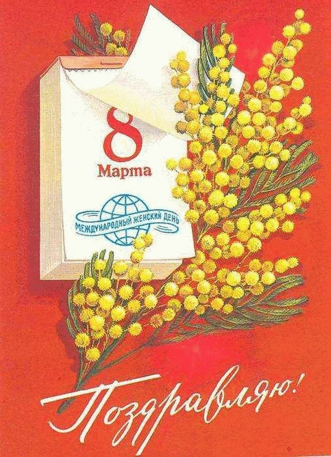 Советская открытка с мимозой. Художник Г. Комлев.