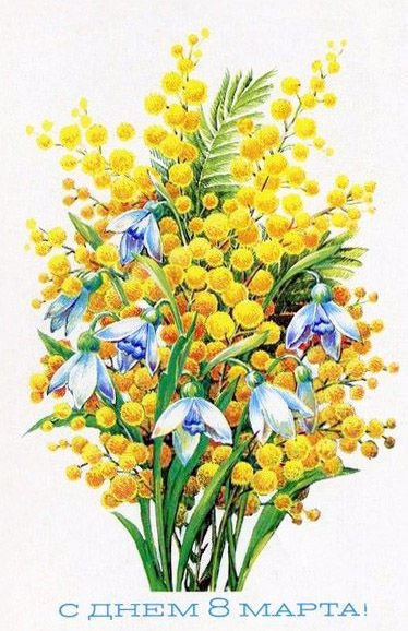 Советская открытка, букет с мимозой.