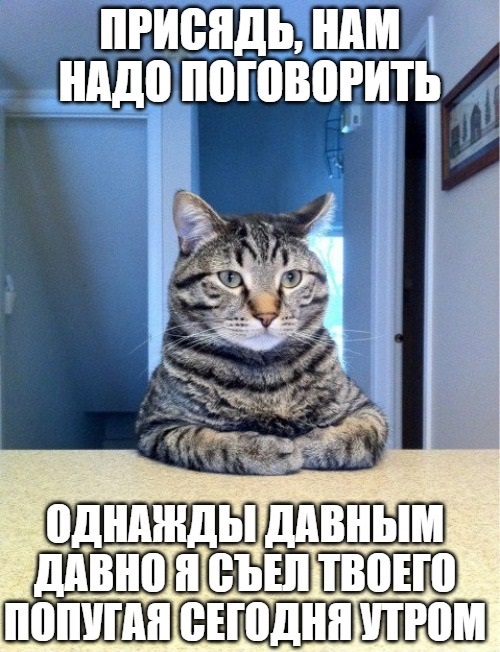 Откровенный разговор