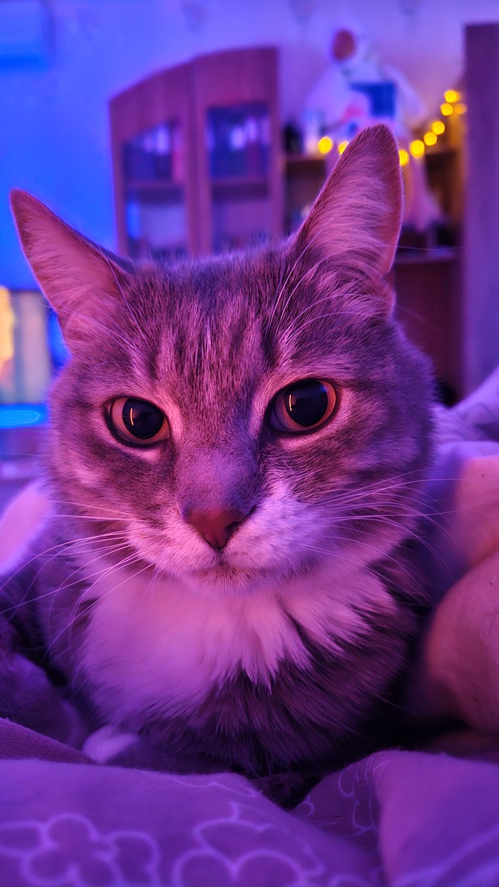     ,     , , , , 