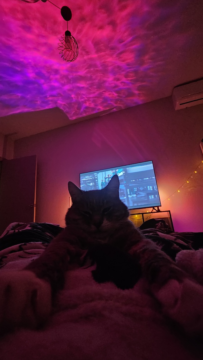     ,     , , , , 