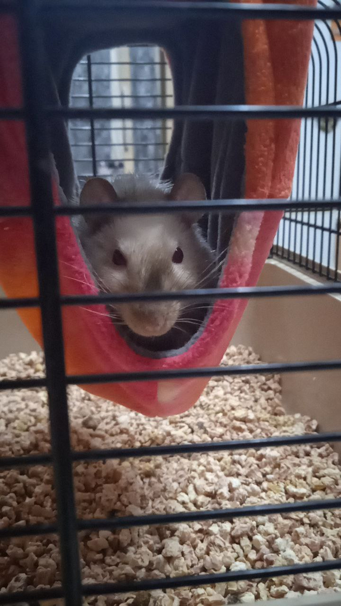 ,    . ,    .       ,      . ,     . ,  ,    -.