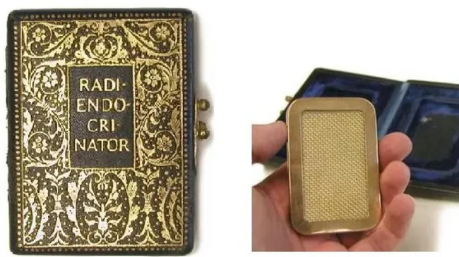 Чем закончился эксперимент по облучению леса цезием-137 в США Планета Земля, США, Земля, Длиннопост, Радиация Чем закончился эксперимент по облучению леса цезием-137 в США Планета Земля, США, Земля, Длиннопост, Радиация