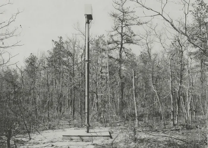 Чем закончился эксперимент по облучению леса цезием-137 в США Планета Земля, США, Земля, Длиннопост, Радиация Чем закончился эксперимент по облучению леса цезием-137 в США Планета Земля, США, Земля, Длиннопост, Радиация