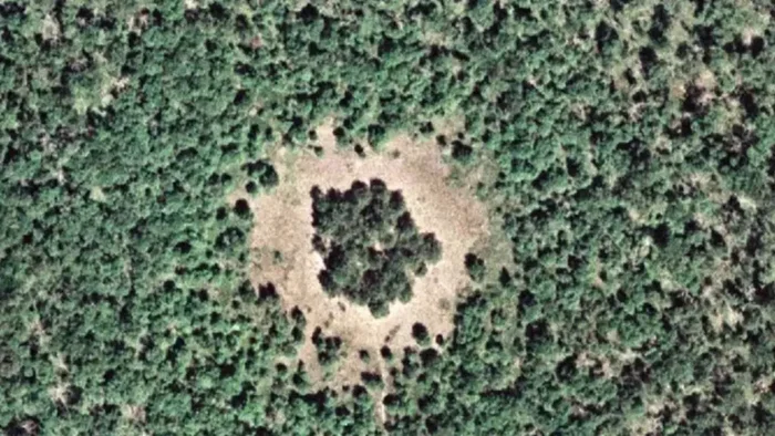 Чем закончился эксперимент по облучению леса цезием-137 в США Планета Земля, США, Земля, Длиннопост, Радиация Чем закончился эксперимент по облучению леса цезием-137 в США Планета Земля, США, Земля, Длиннопост, Радиация