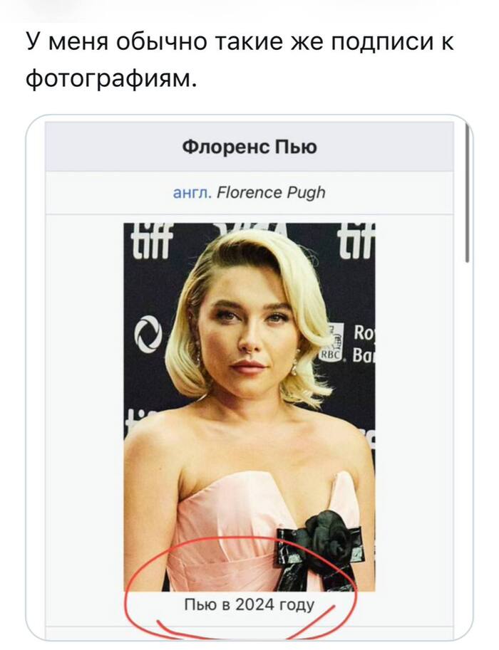     , ,   ,  , , Telegram ()