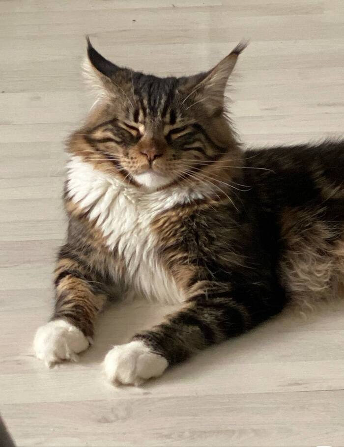 А СМОТРИТ ТО КАК...