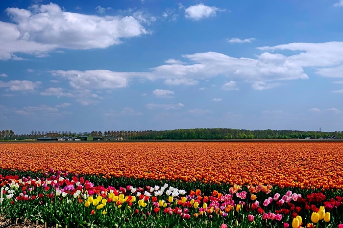 В прошлом году