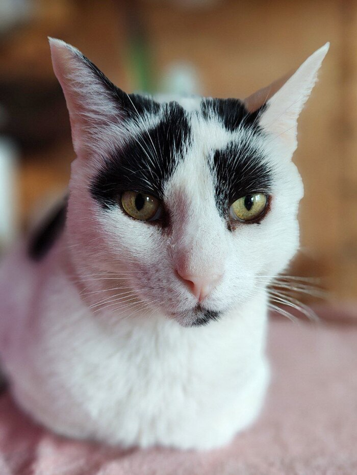 Взлетаем (а кто-то ест)