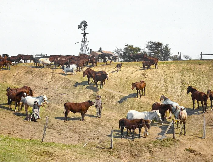 Подборка интересных и необычных фотографий из США. 20 раскрашенных фотографий ХХ века. Часть XVII Фотография, Старое фото, 20 век, США, Колоризация, Длиннопост