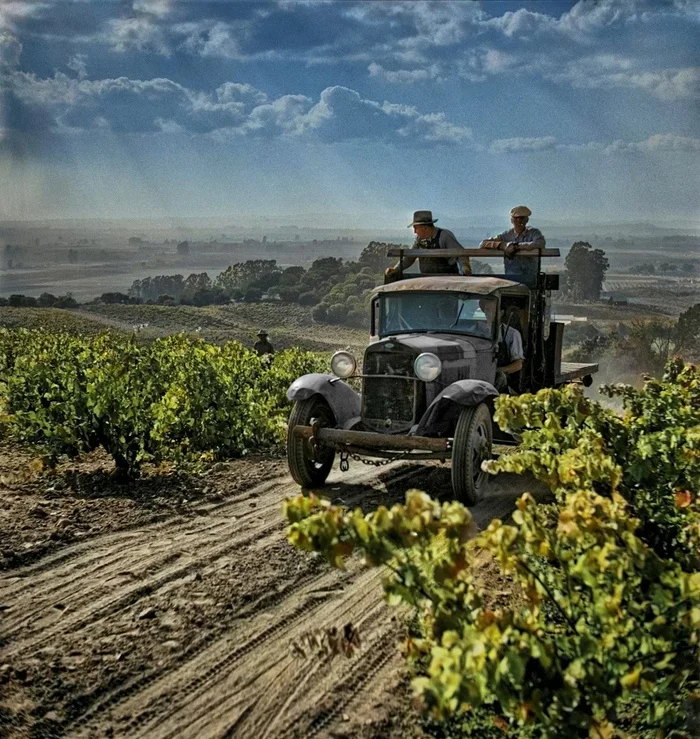 Подборка интересных и необычных фотографий из США. 20 раскрашенных фотографий ХХ века. Часть XVII Фотография, Старое фото, 20 век, США, Колоризация, Длиннопост