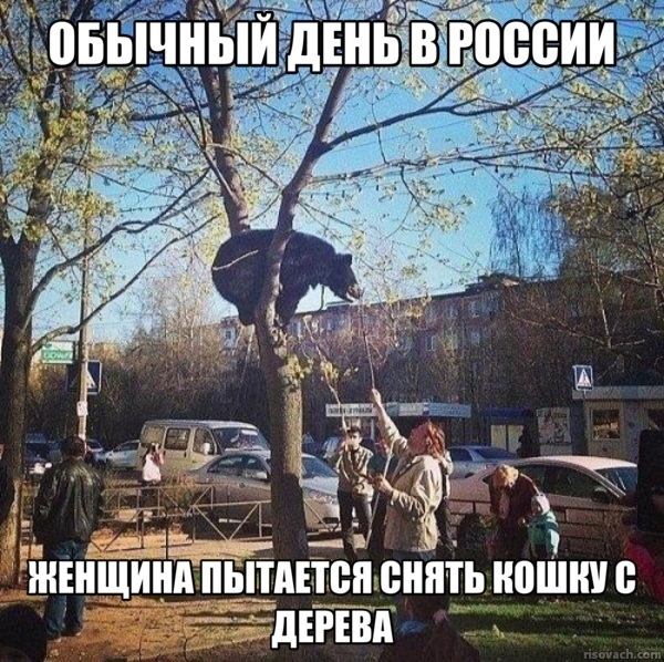   , Telegram (), , ,   , , 