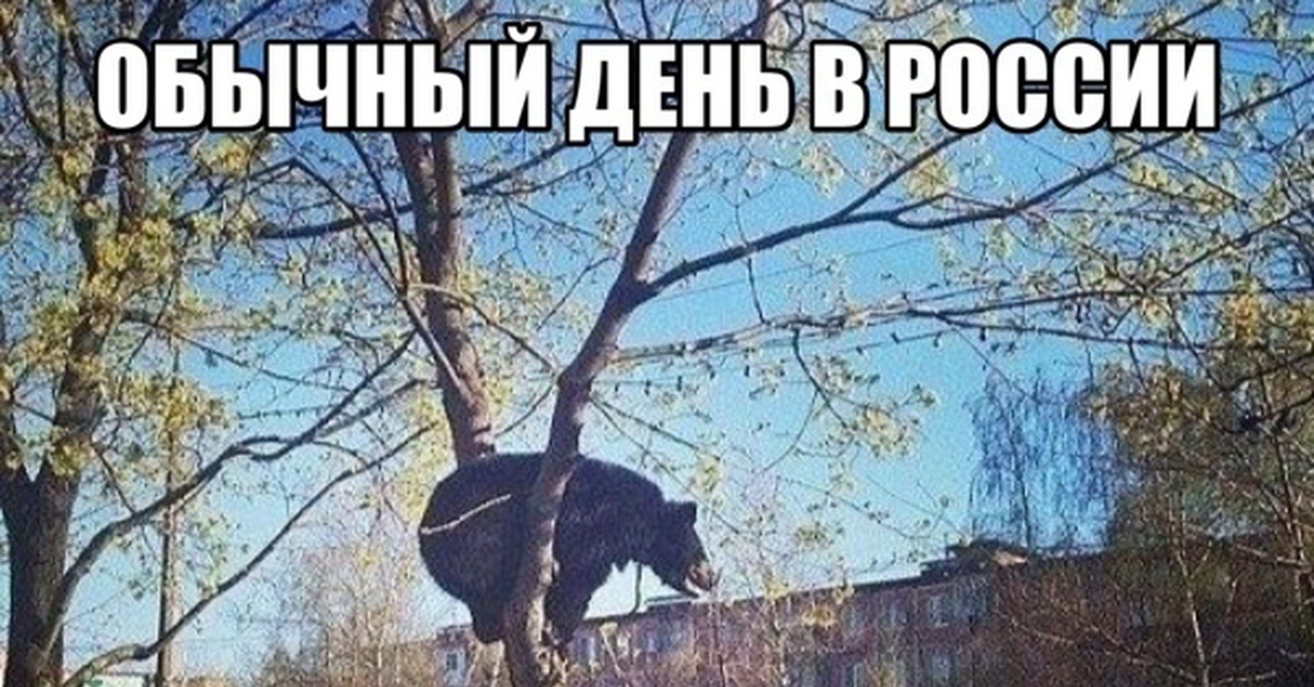 Обычный день | Пикабу