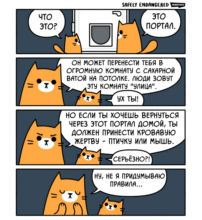  , Safely Endangered, , , , ,  , ,  