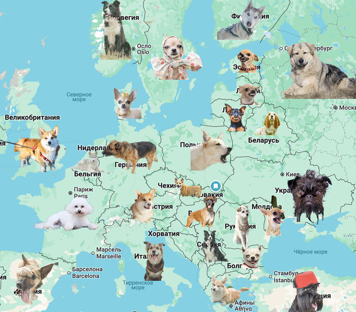 ���� �� ������ ���� ��������