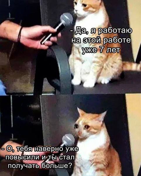 "      , Pikabu Publish Bot, , , 