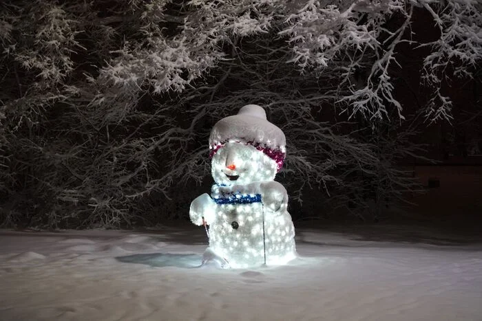 December 15, 2024 snow in the Central Park of Culture and Leisure - My, The photo, Saint Petersburg, Cpcchio, Elagin Island, Longpost