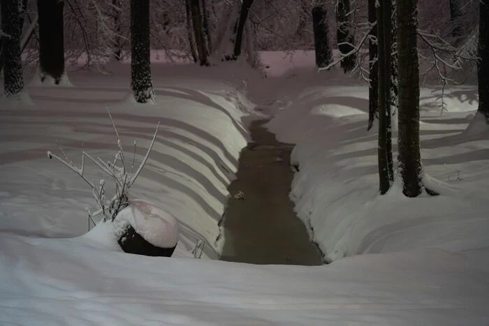 December 15, 2024 snow in the Central Park of Culture and Leisure - My, The photo, Saint Petersburg, Cpcchio, Elagin Island, Longpost