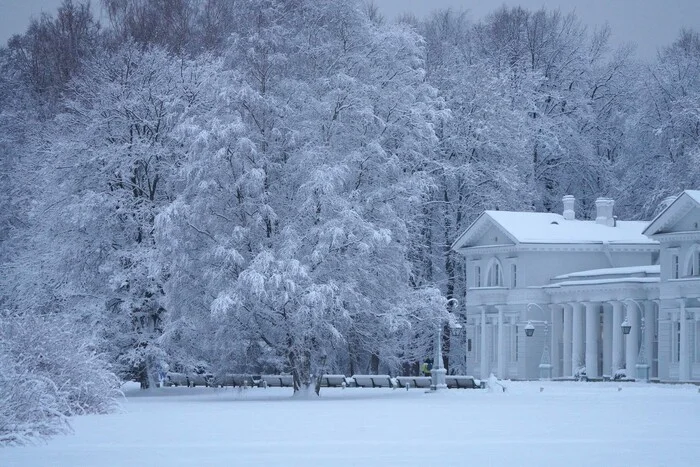 December 15, 2024 snow in the Central Park of Culture and Leisure - My, The photo, Saint Petersburg, Cpcchio, Elagin Island, Longpost