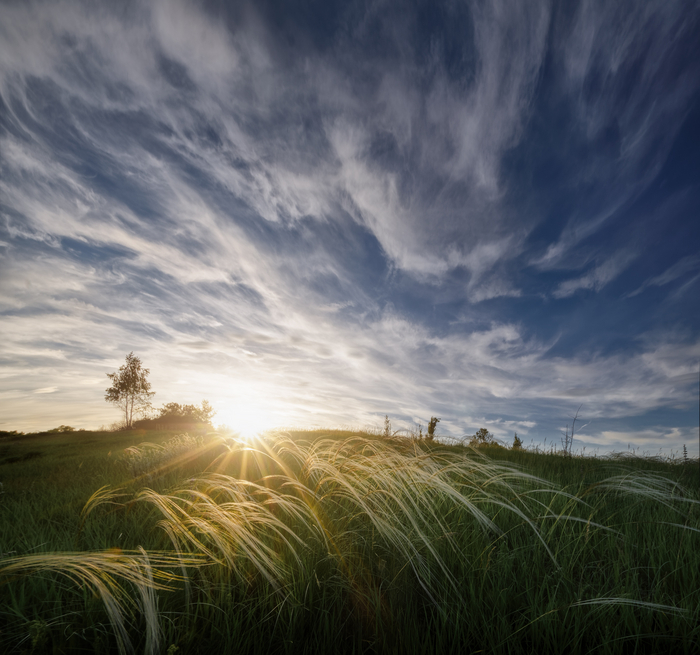 Ковыльное...