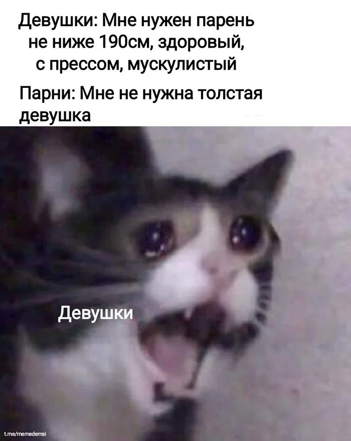 Conclusion: Sports for everyone - Memes, Picture with text, Humor, Relationship, Guys, Girls, Telegram (link), cat