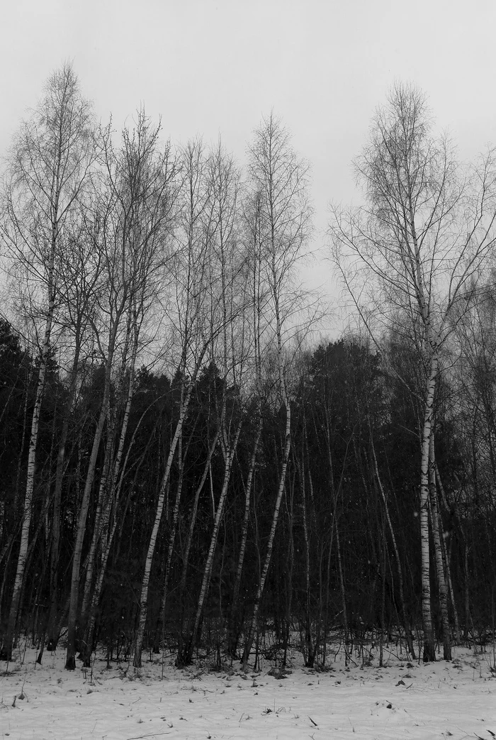 Мои фотоснимки - Моё, Фотография, Черно-белое фото, Фотограф, Красивый вид, Улица, Творчество, Хобби, Природа, Уличная фотография, Мобильная фотография, Длиннопост